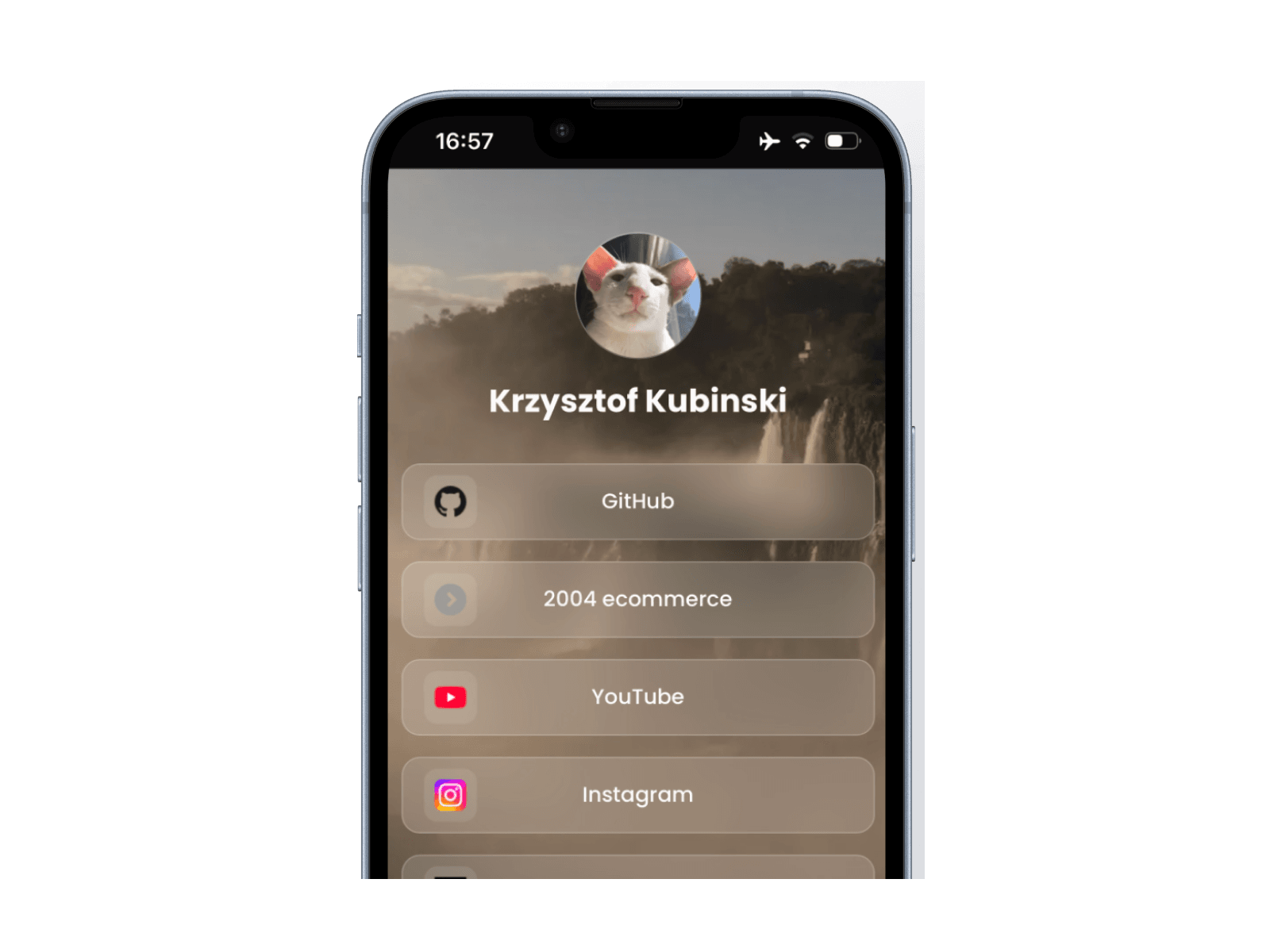 Lnky profile preview